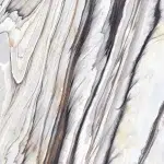 ZZIS82A_ Wild Forest